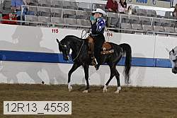 12r13_4558 proof
