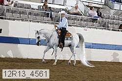 12r13_4561 proof