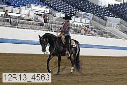 12r13_4563 proof
