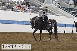 12r13_4565 proof