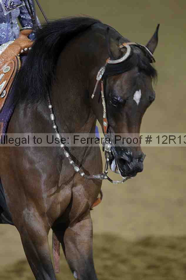 Proof 12r13_4575