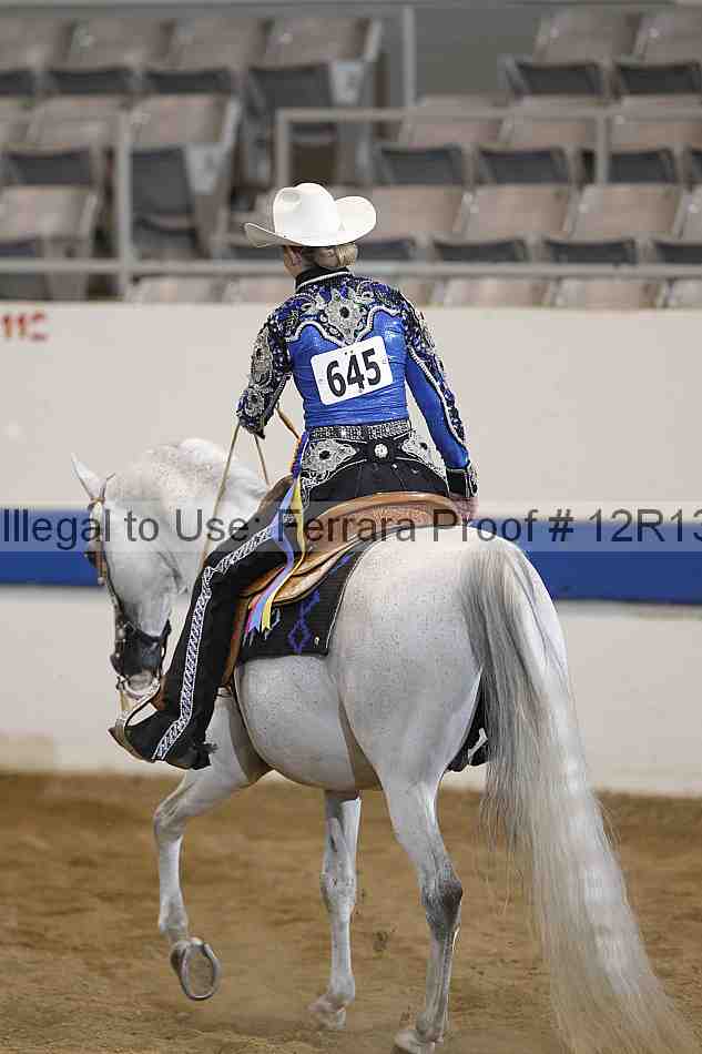 Proof 12r13_4590