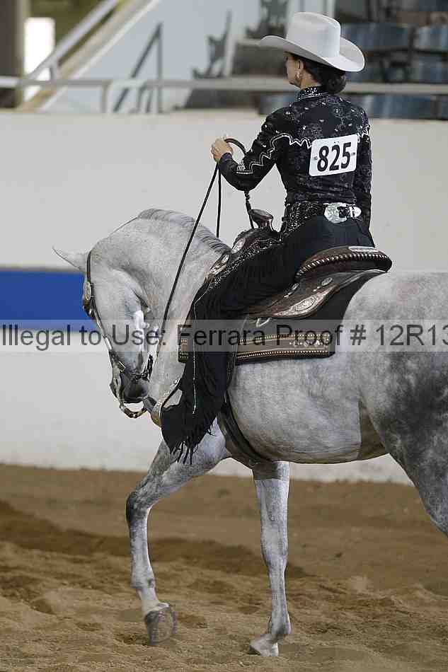 Proof 12r13_4662