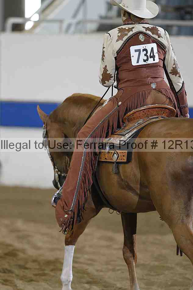 Proof 12r13_4663