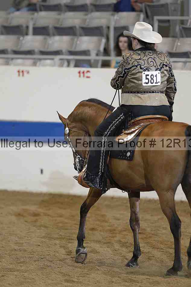 Proof 12r13_4664