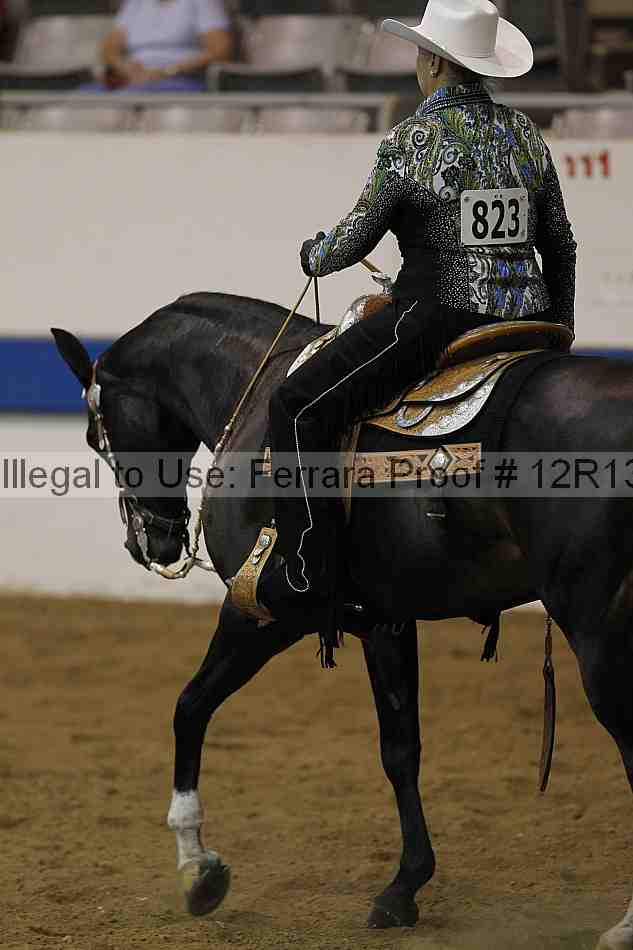 Proof 12r13_4666