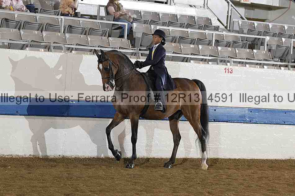 Proof 12r13_4591
