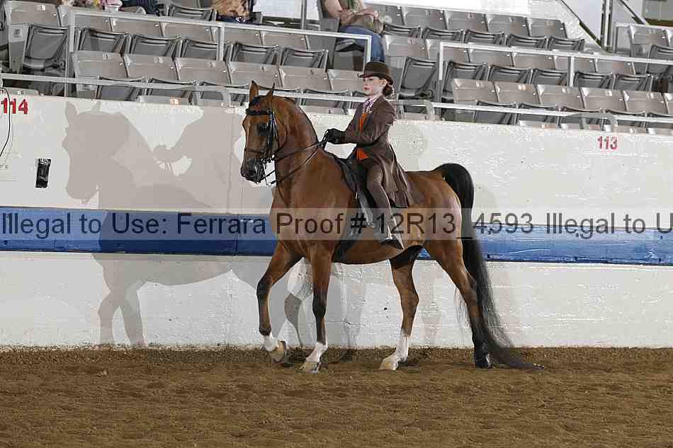 Proof 12r13_4593