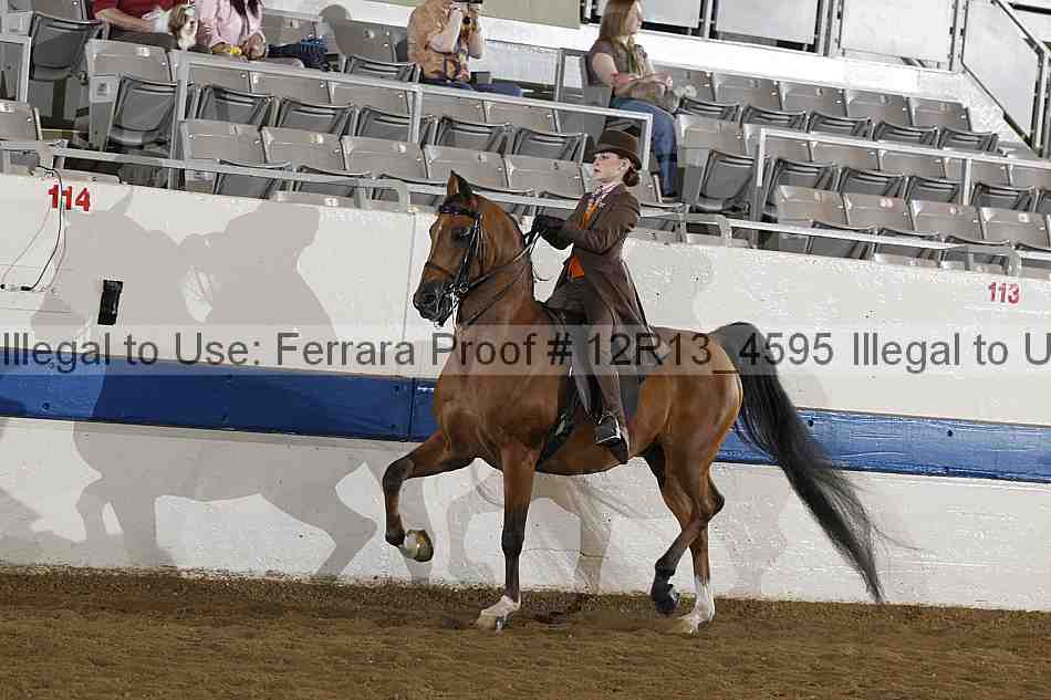 Proof 12r13_4595