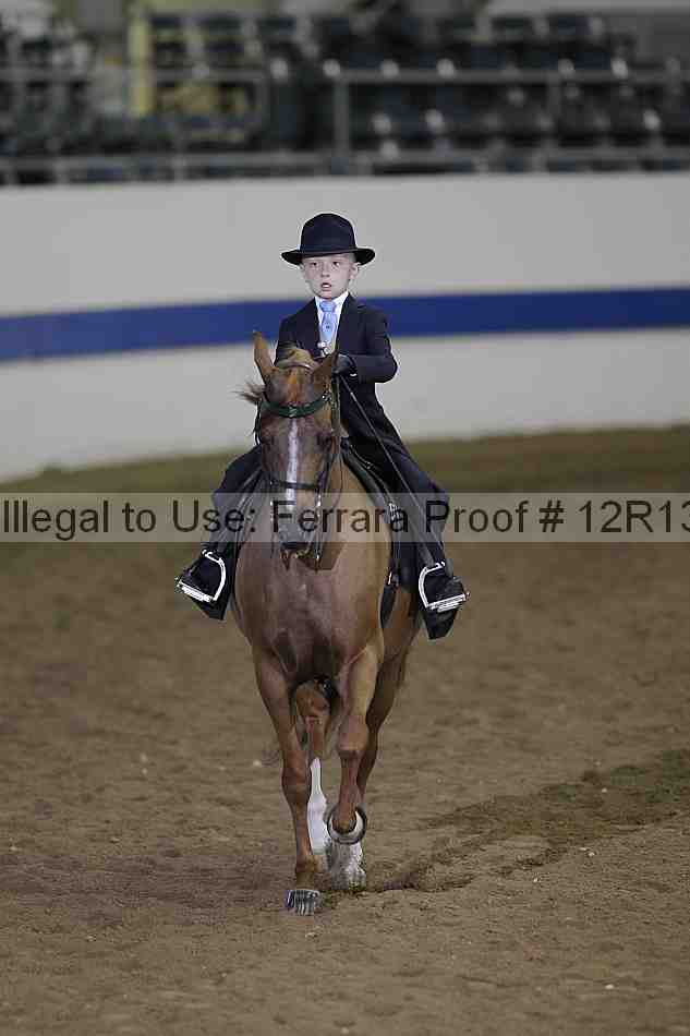 Proof 12r13_4602