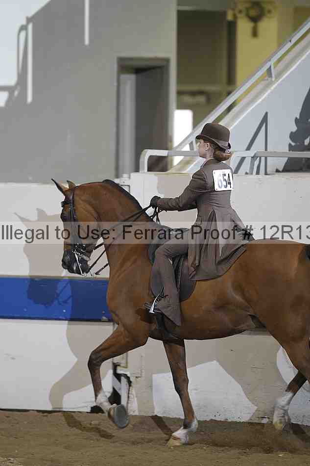 Proof 12r13_4605