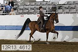 12r13_4612 proof