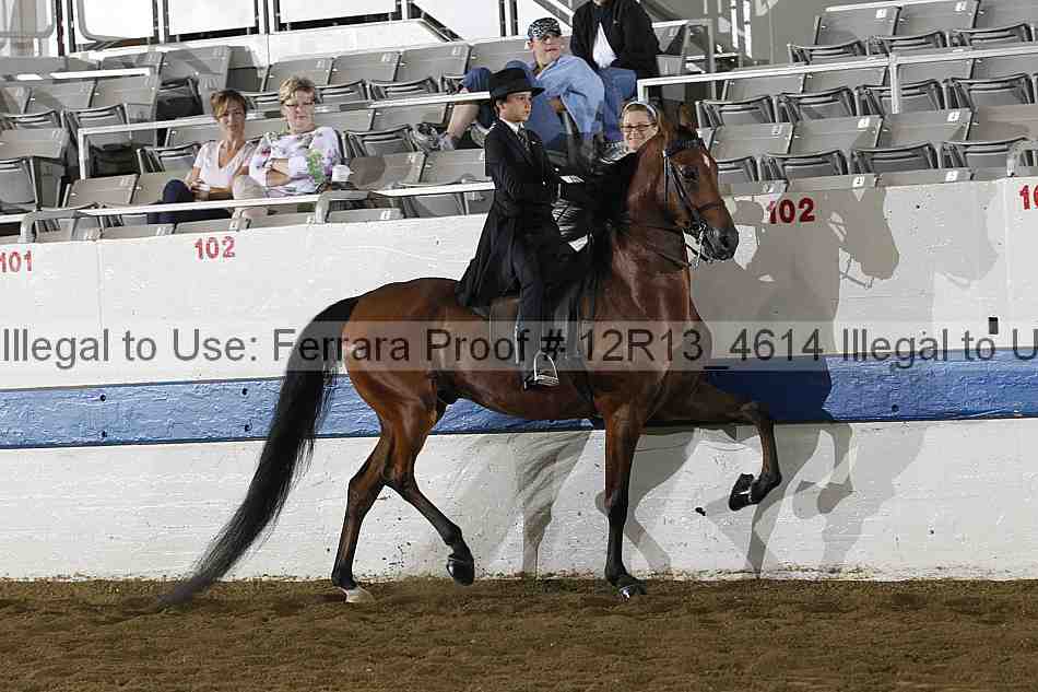 Proof 12r13_4614