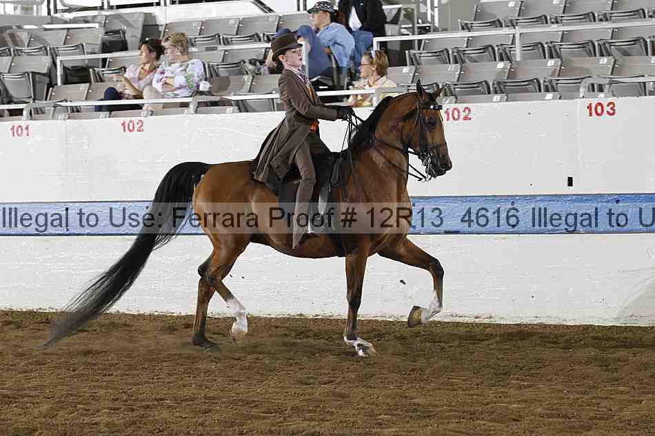 Proof 12r13_4616