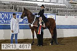12r13_4617 proof