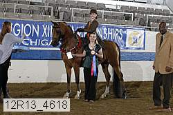 12r13_4618 proof