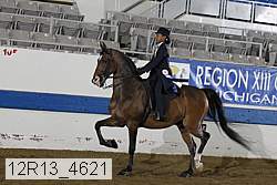 12r13_4621 proof