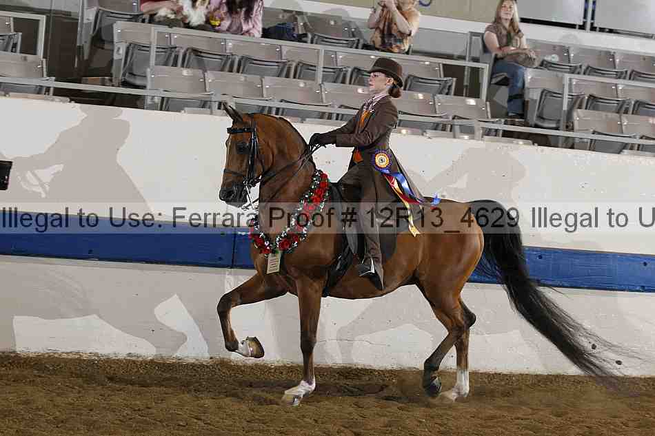 Proof 12r13_4629