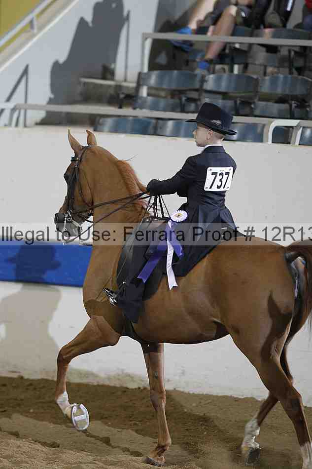 Proof 12r13_4630