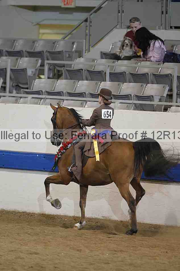 Proof 12r13_4634