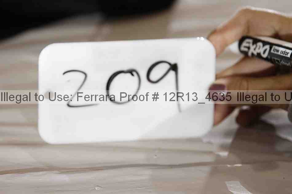 Proof 12r13_4635