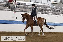 12r13_4636 proof