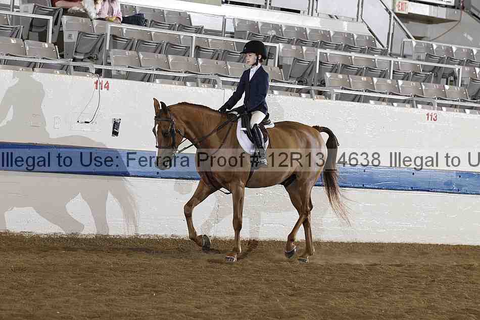 Proof 12r13_4638