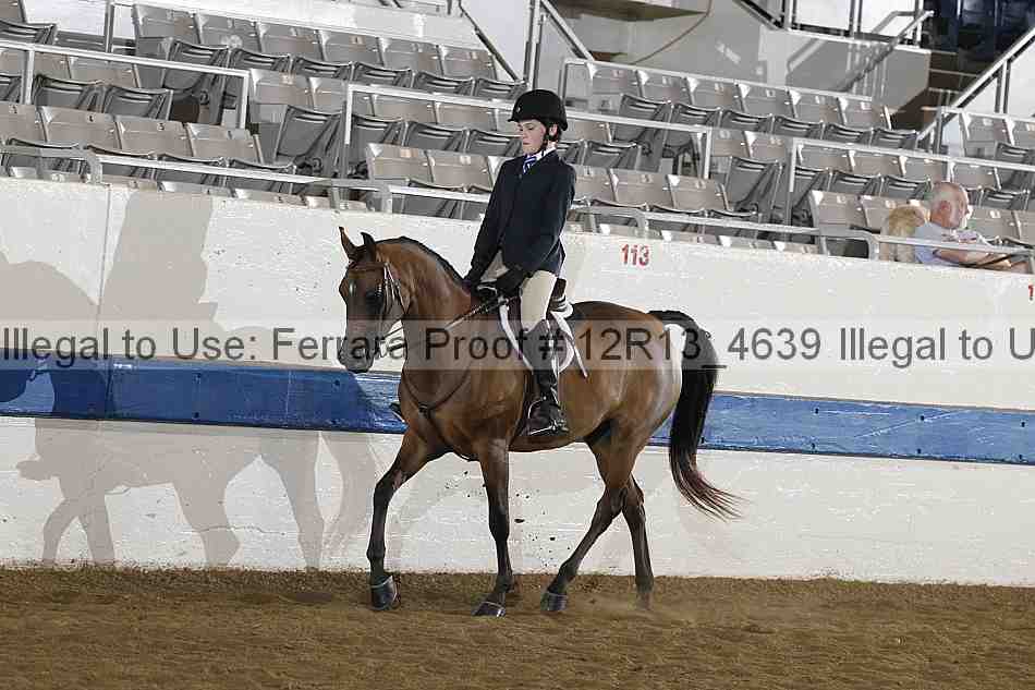 Proof 12r13_4639