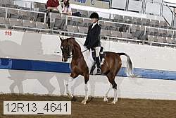 12r13_4641 proof