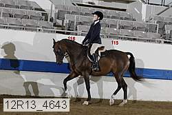 12r13_4643 proof