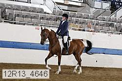 12r13_4646 proof