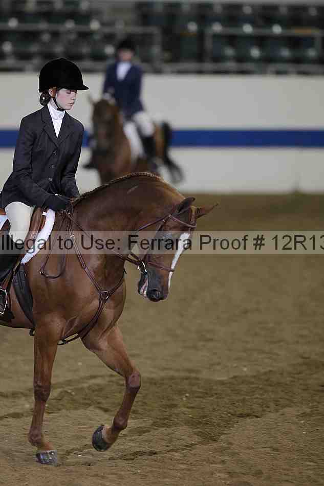Proof 12r13_4648