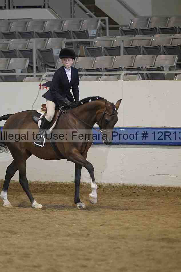 Proof 12r13_4699