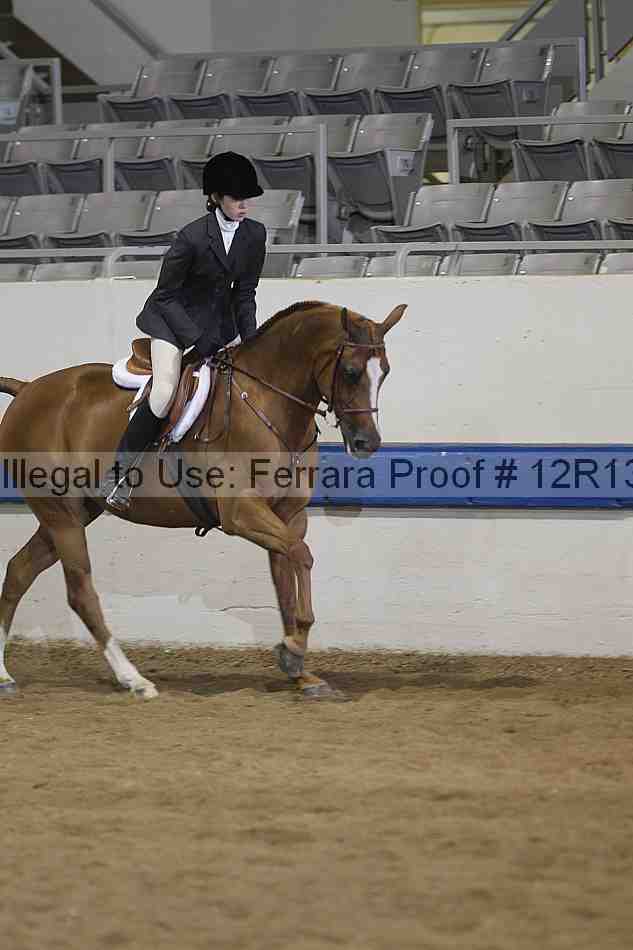 Proof 12r13_4700