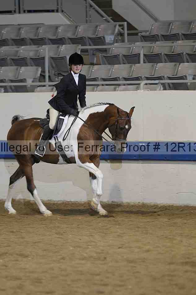 Proof 12r13_4702
