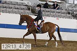 12r13_4726 proof