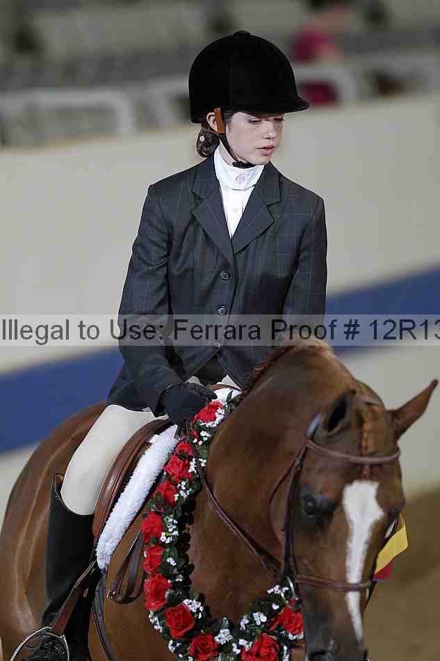 Proof 12r13_4733