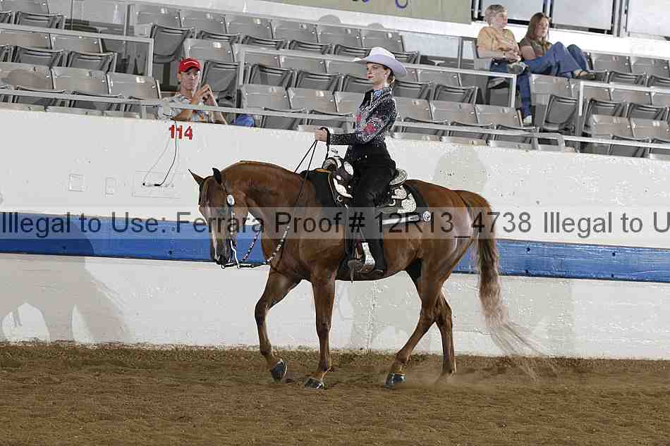 Proof 12r13_4738