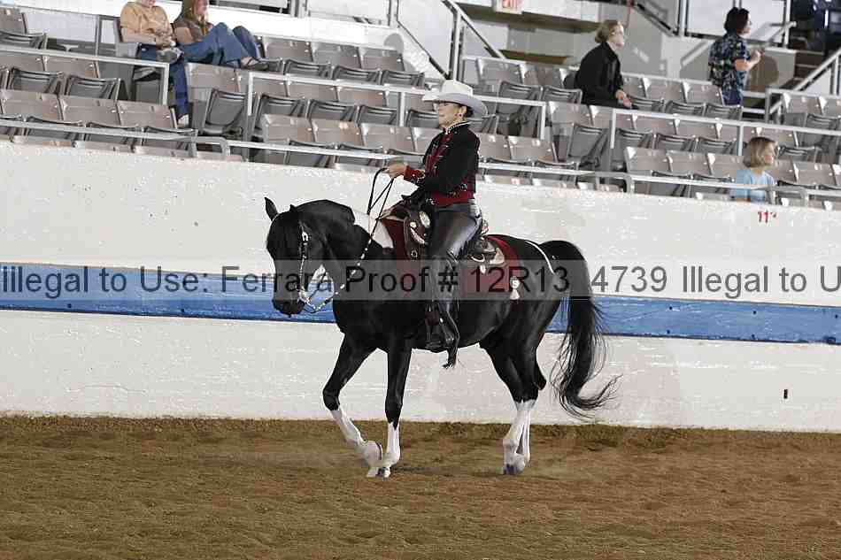 Proof 12r13_4739