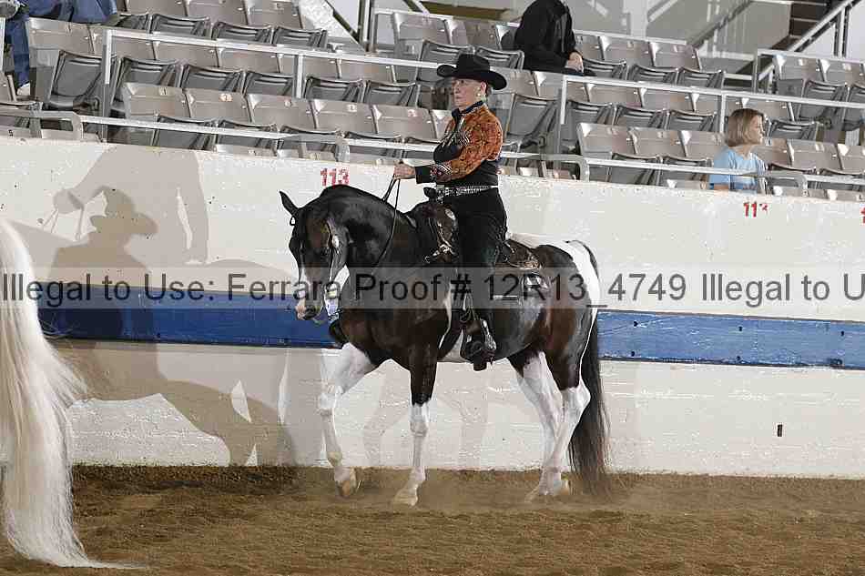 Proof 12r13_4749