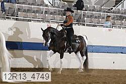 12r13_4749 proof