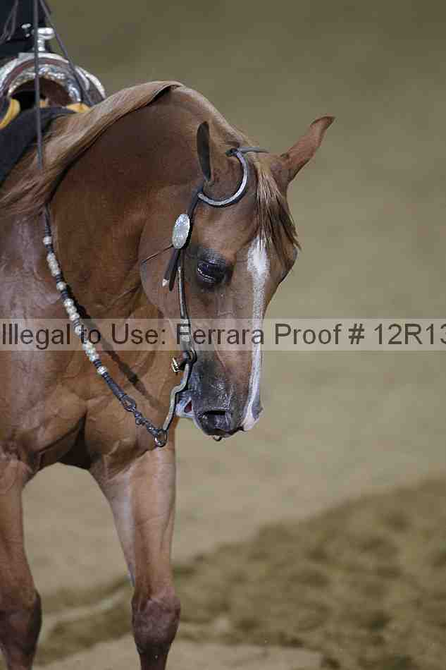Proof 12r13_4782