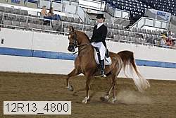 12r13_4800 proof