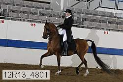 12r13_4801 proof