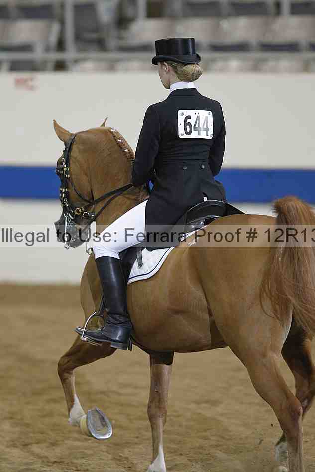 Proof 12r13_4802