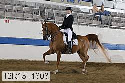 12r13_4803 proof