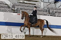12r13_4819 proof