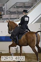 12r13_4822 proof