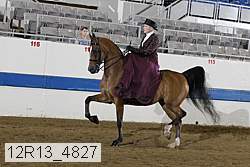 12r13_4827 proof