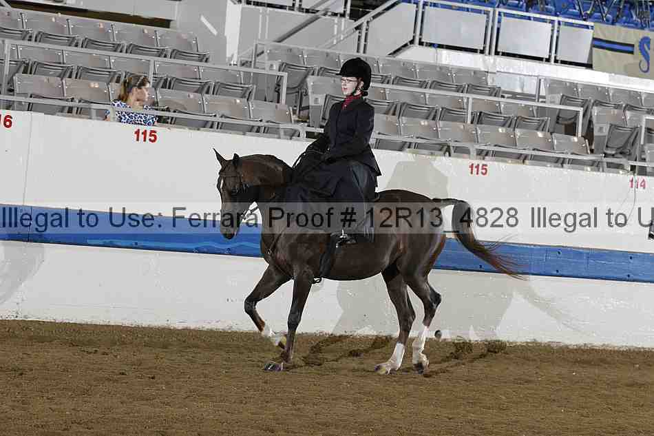 Proof 12r13_4828